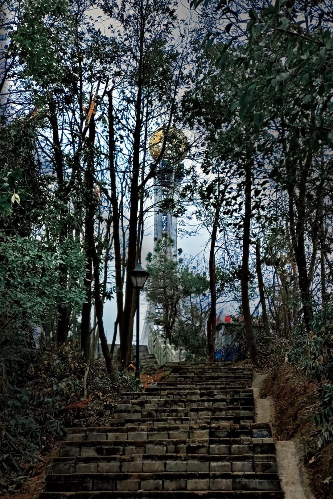DƬ